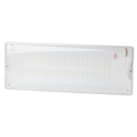 Светильник светодиодный DPA-301-0-65 IP65 40LED 3ч аварийный непостоянный Проектный Эра Б0044405
