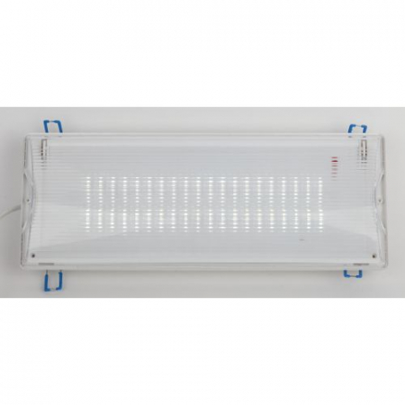 Светильник светодиодный DPA-301-0-65 IP65 40LED 3ч аварийный непостоянный Проектный Эра Б0044405