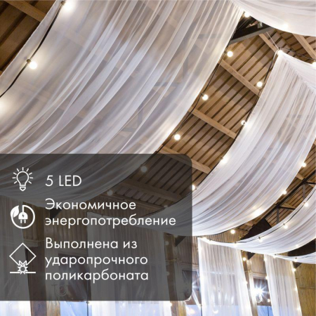 Лампа светодиодная 2Вт шар d45 5LED бел. E27 Neon-Night 405-115