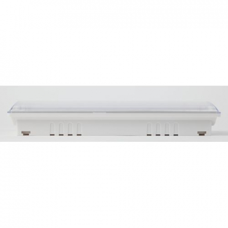 Светильник светодиодный DPA-301-0-65 IP65 40LED 3ч аварийный непостоянный Проектный Эра Б0044405